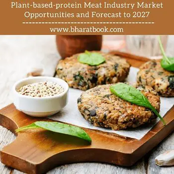 Plant-based-protein Meat Industry Market Opportunities and Forecast to 2027-73c65ead