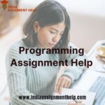 Programming assignment help