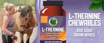 Pure Lab Vitamins - L-Theanin-1-eeb138f2