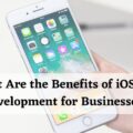 What Are the Benefits of iOS App Development for Businesses-66f8cc00