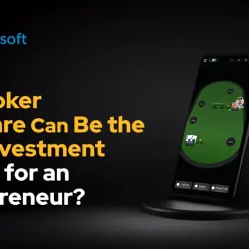 Why Can Poker Software Be the Best Investment Option for an Entrepreneur-710c8761
