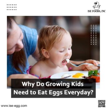 Why Do Growing Kids Need to Eat Eggs Everyday-e47fc7c4