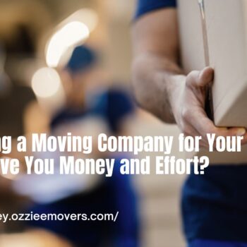 Will Hiring a Moving Company for Your Office Save You Money and Effort-ed31ccec