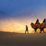 double-hump-camel-safari-ladakh-tour-from-kolkata-with-naturewings-53ccb101