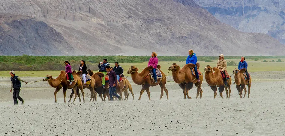 Ladakh Package tour with Nubra Valley