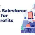 salsforce-app-for-nonprofits[1]-22e98ac3