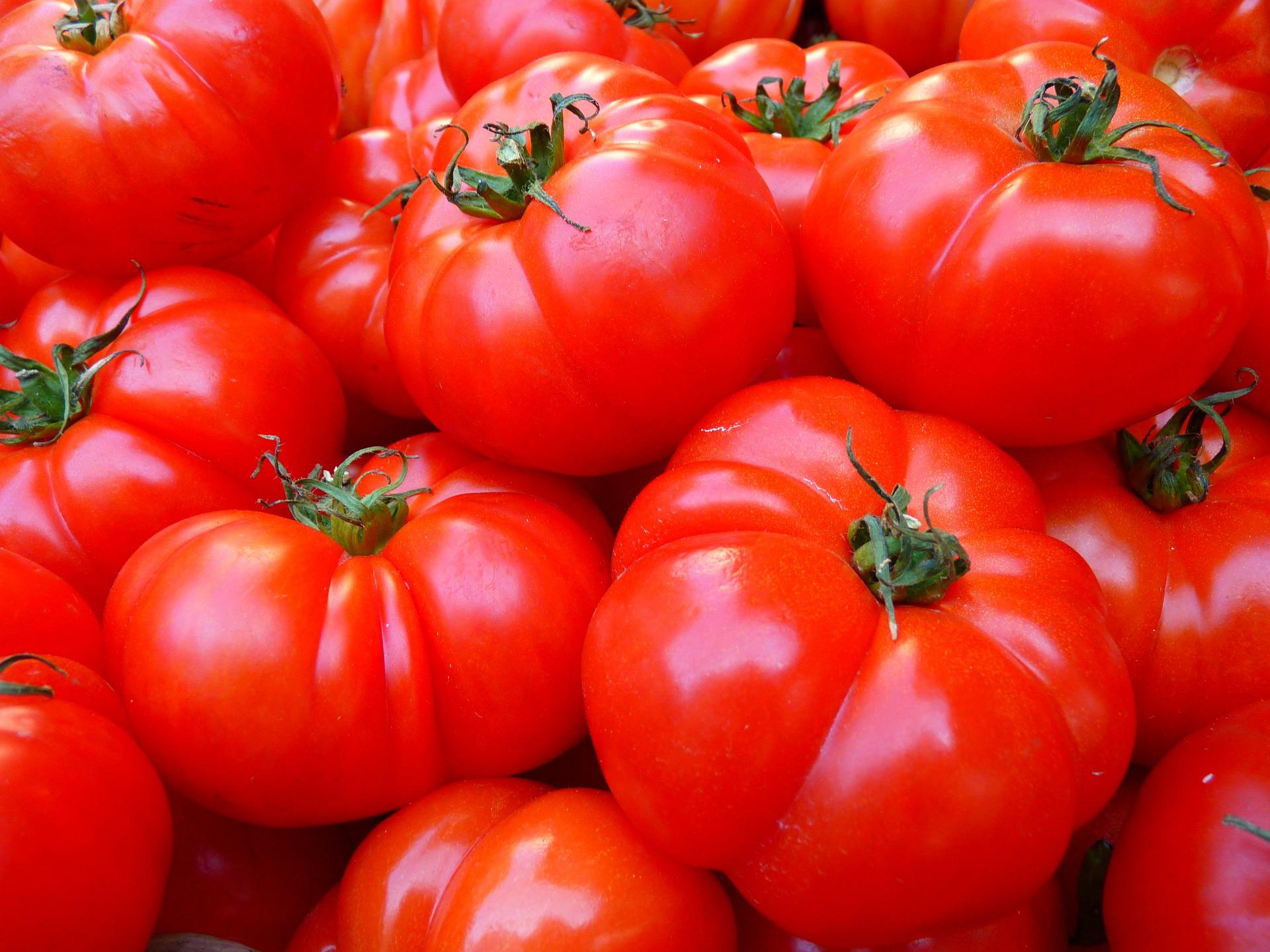 tomatoes-5356_1920-692d687b