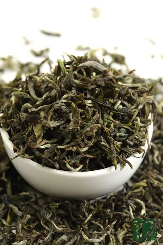 The Best Wholesale Tea Suppliers in India That Provide High-Quality Tea Experiences