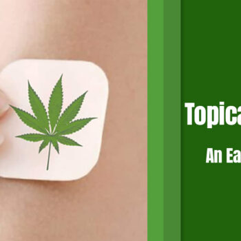 Best CBD Topical Patches An Easy Buying Guide-2ed84889