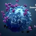 Cancer Immunotherapy Market-Growth Market Reports-1e3d5626