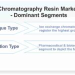 Chromatography-Resin-Market-Dominant-Segments_41905-84384b82