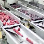 Food Processing and Handling Equipment Market-c4a94327