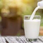 GCC Fresh Milk Market  2-af5455a1