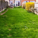 Professional garden clearance company in Sutton