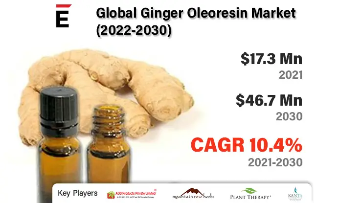 Ginger Oleoresin Market-b8a46e6c