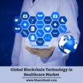 Global Blockchain Technology in Healthcare Market-056ab569