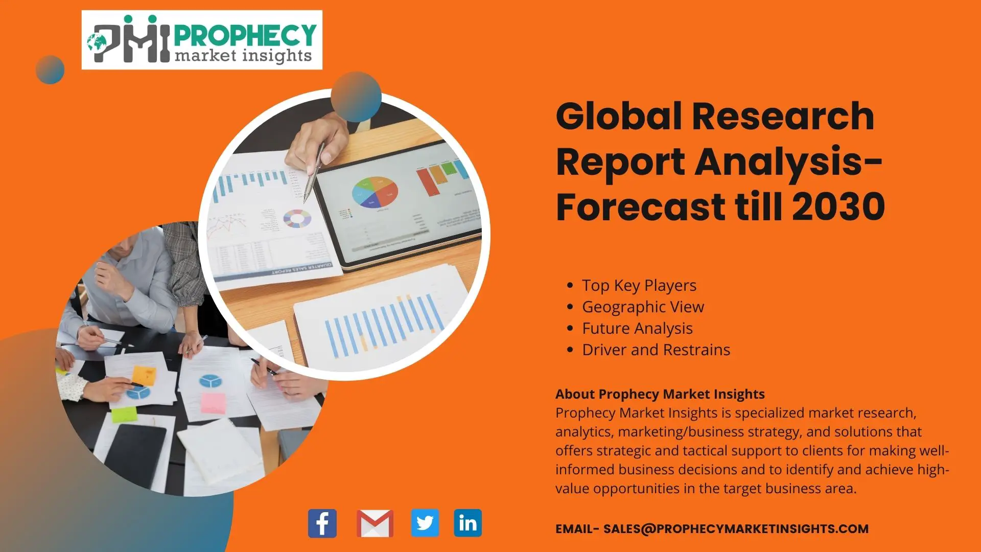 Global Research Report Analysis-2030-1a64b248