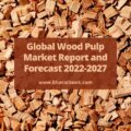 Global Wood Pulp Market Report and Forecast 2022-2027-f4f2ed9a