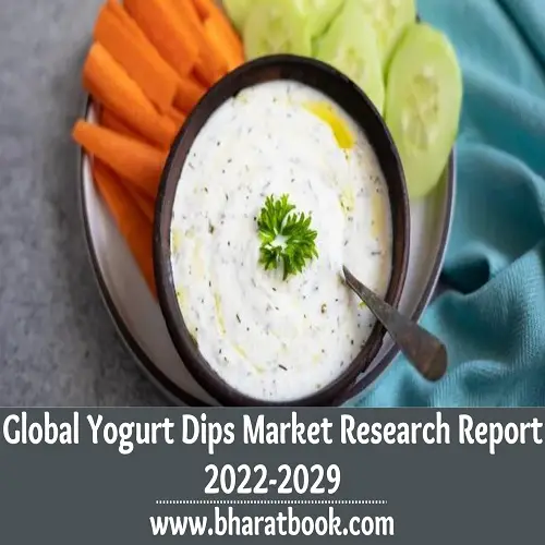 Global Yogurt Dips Market Research Report 2022-2029-04351597