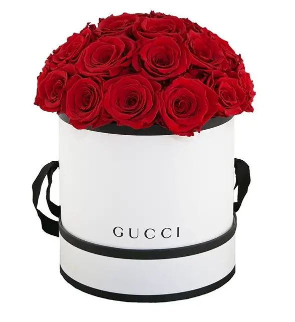 Gucci RED 1-bb1473fc