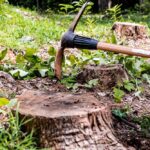 How Do You Get Rid of Tree Stumps-a86b29d1