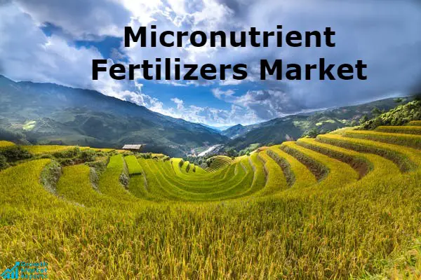 Micronutrient Fertilizers Market-Growth Market Reports-e619ca78
