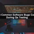 Most-Common-Software-Bugs-Caught-During-Qa-Testing-2cd55d85
