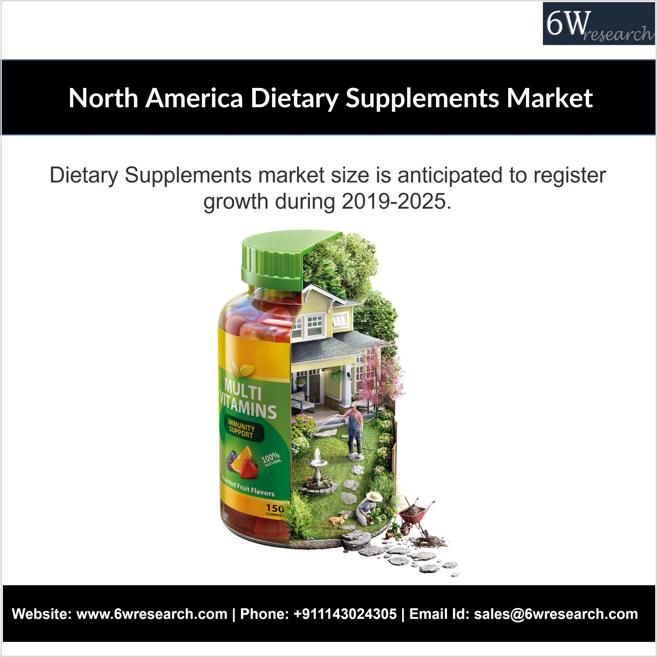 North America Dietary Supplements Market-cc0eb6f6