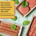 Plant-based Meat Market - Global Outlook and Forecast 2021-2027-947d85f4