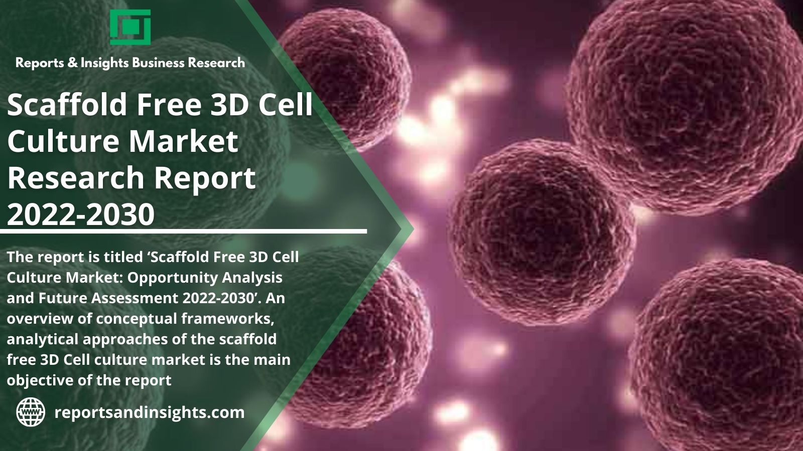 Scaffold Free 3D Cell Culture Market 1-facf3c1d