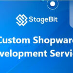 Shopware Development Services-54ec39a6