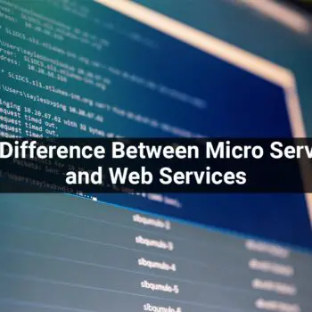 The-Difference-Between-Micro-Services-and-Web-Services-fcf49ece