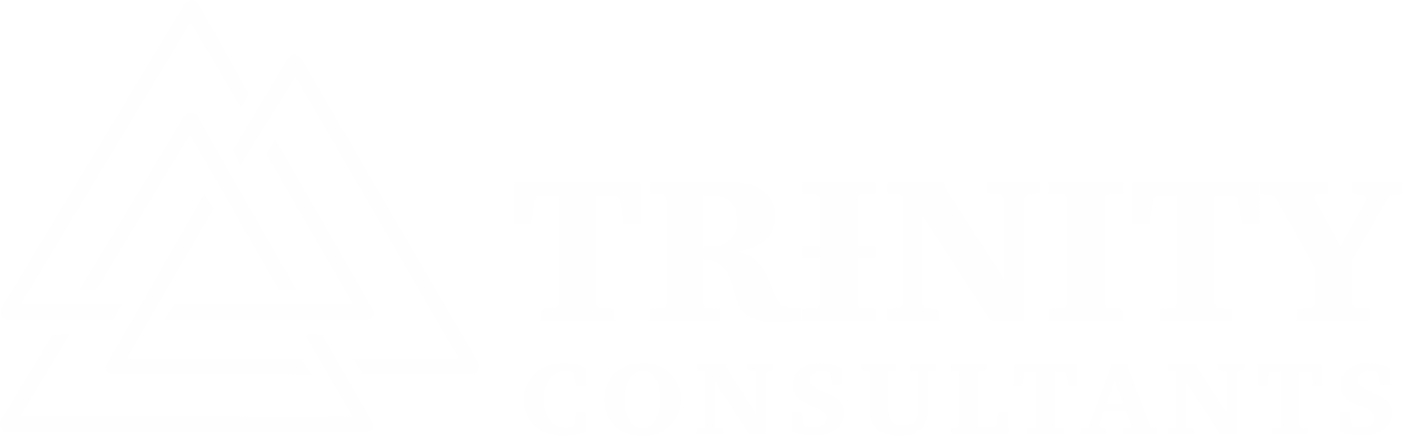 Trinity-Logo-White-5395330a