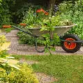 Qualified garden clearance in London