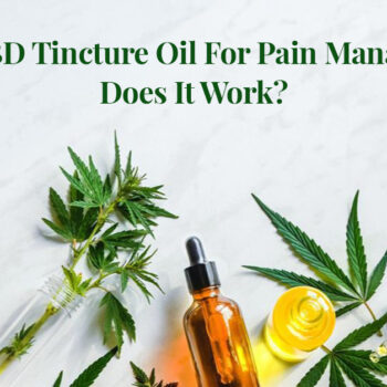 Using CBD Tincture Oil For Pain Management Does It Work-442e674a