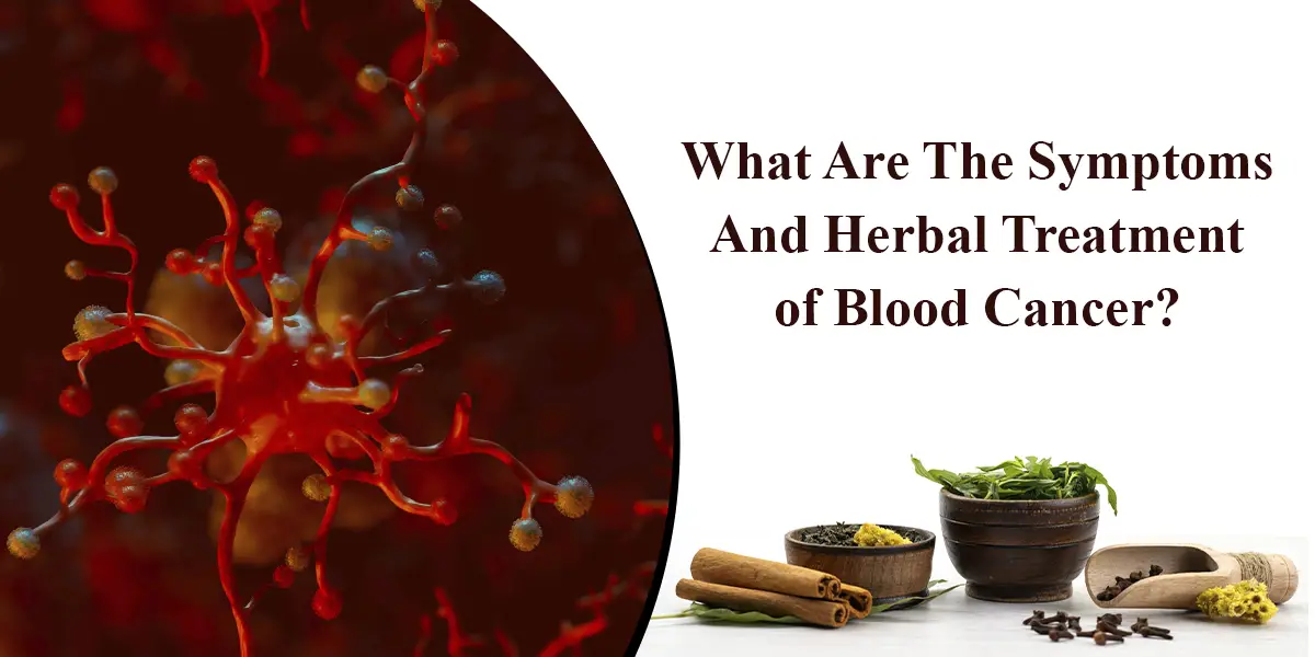 What Are The Symptoms And Herbal Treatment of Blood Cancer?