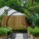 Garden clearance Croydon: How to dispose of your garden waste clearance