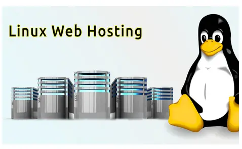 linux-web-hosting-500x500-b53345ab