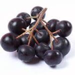 Aronia Berries Market-db330bbf