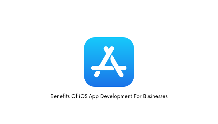 Benefits Of iOS App Development For Businesses-da1c3909