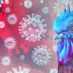 Bird Flu Treatment Market-Growth Market Reports-1437a979