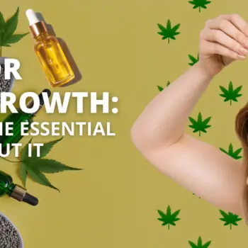 CBD Oil For Hair Growth Know Some Essential Facts About It-2368a98f