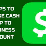 Change Cash App to Business Account-90c5e749