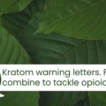 FDA-FTC-kratom-warning-letters-C copy-14336c15