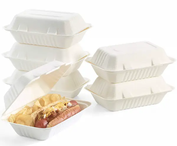 Food Biodegradable Packaging-41934d61