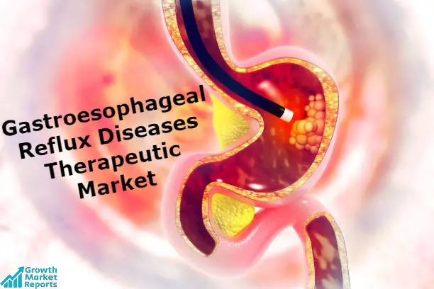 Gastroesophageal Reflux Diseases Therapeutic-Growth Market Reports-eaf5d7a5