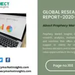 Global Research Report-2020-2030 (2)-06792c33