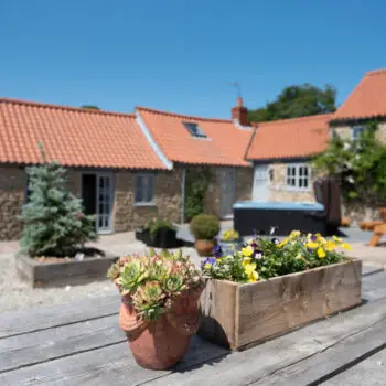 Holiday Cottages North Yorkshire--b1d6ce0c
