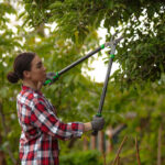 How Do Arborists Take Care of Trees-36325b7b