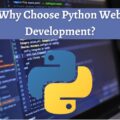 How Python Development Can Benefit Your Business (1)-ef7bd22d